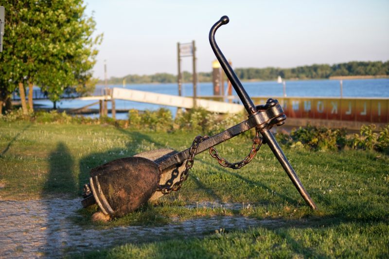IMG 4555